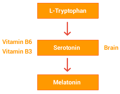 Con đường chuyển hóa serotonergic của tryptophan