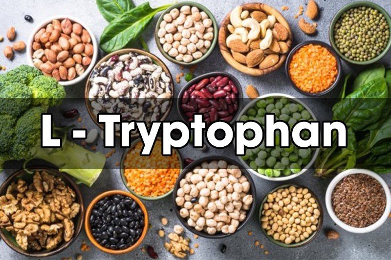 Tryptophan có tác dụng gì với sức khỏe tinh thần của bạn?