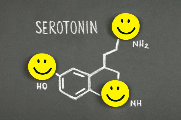 Vitamin B6 tham gia vào quá trình tổng hợp hormon hạnh phúc serotonin