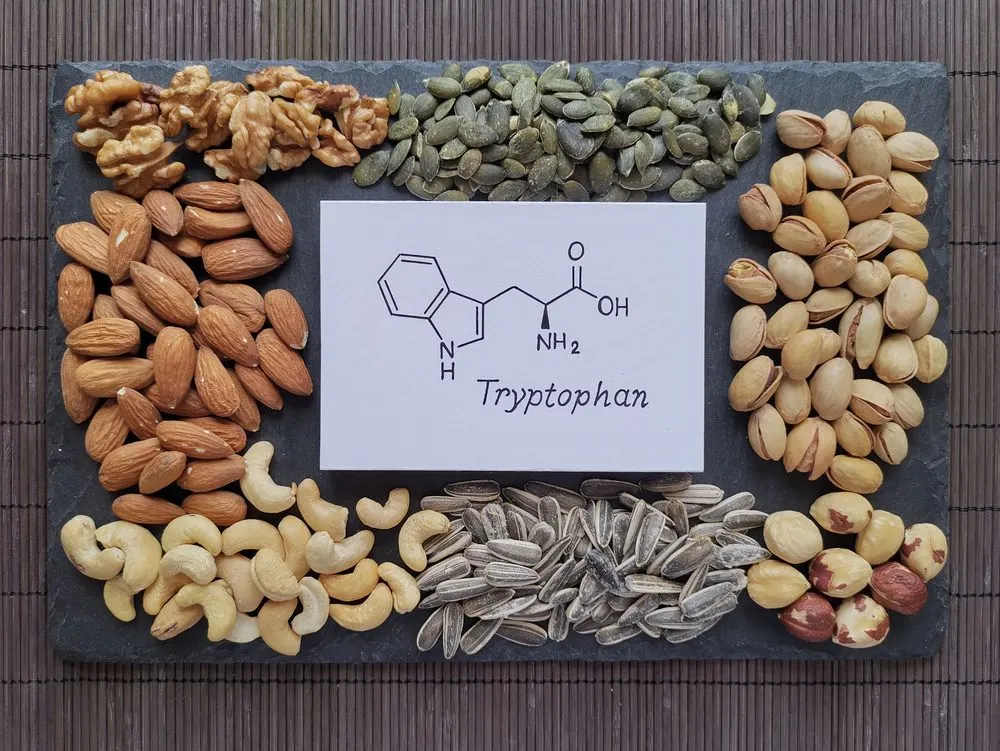   Tryptophan có trong nhiều loại hạt