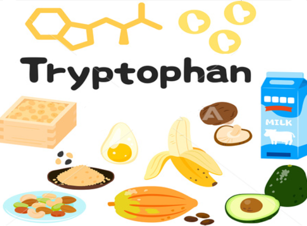 Cung cấp tryptophan cho cơ thể bằng thực phẩm hoặc các sản phẩm bổ sung