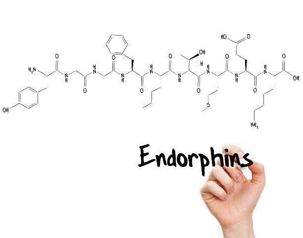 Endorphin là hormon gì?