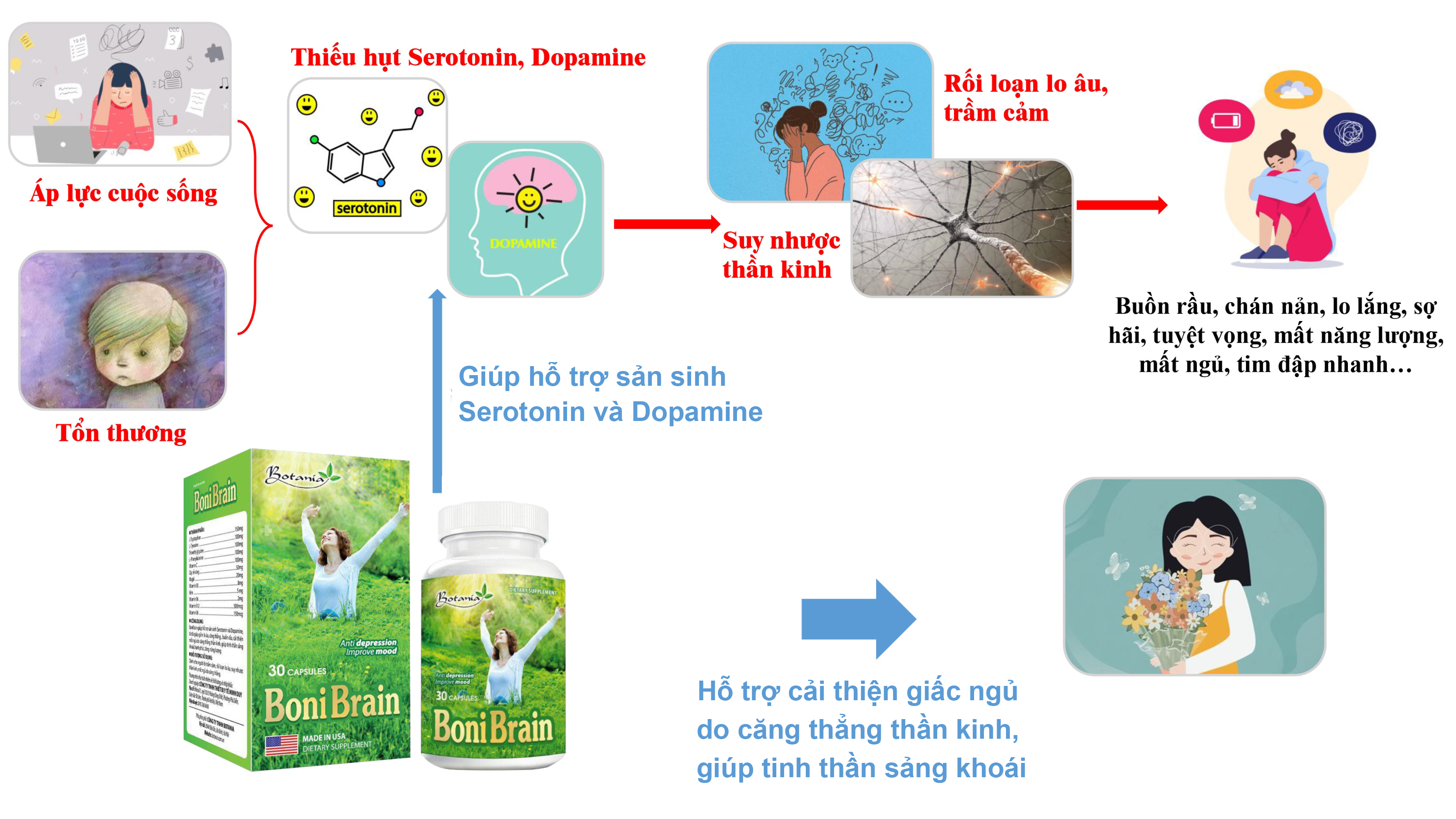 Cơ chế bonibrain